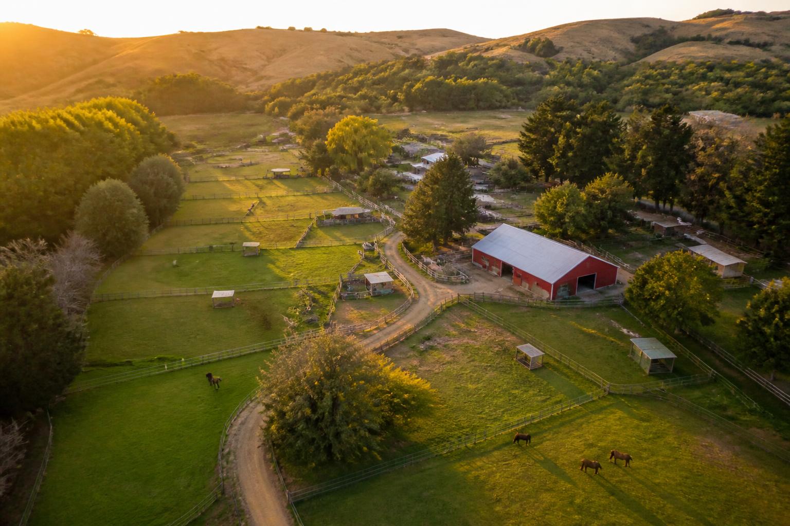 Aerial view of a farm animal sanctuary with pastures and barn at sunset